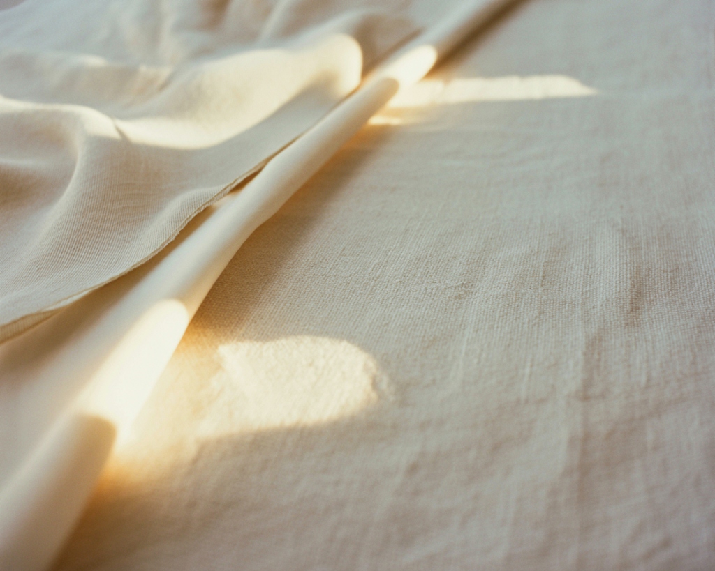 Bright empty living room with morning light